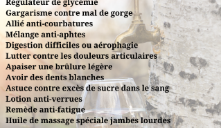 Sève de bouleau cure