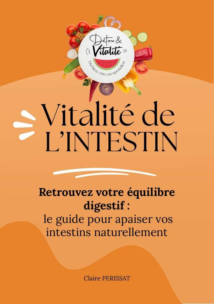 Couverture de l'e-book Vitalité de l'Intestin de Claire Périssat, naturopathe