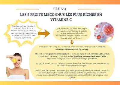 Aperçu de l'e-book Les 20 clés de la vitalité
