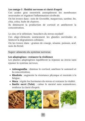 Aperçu de l'e-book Stress