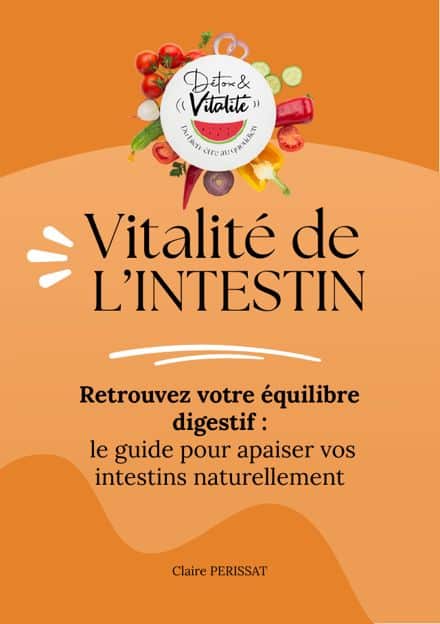 E-book Vitalité de l'intestin