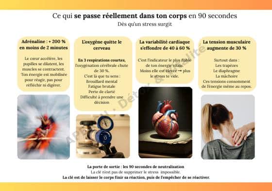 Page intérieure de l'e-book Les 20 clés de la vitalité