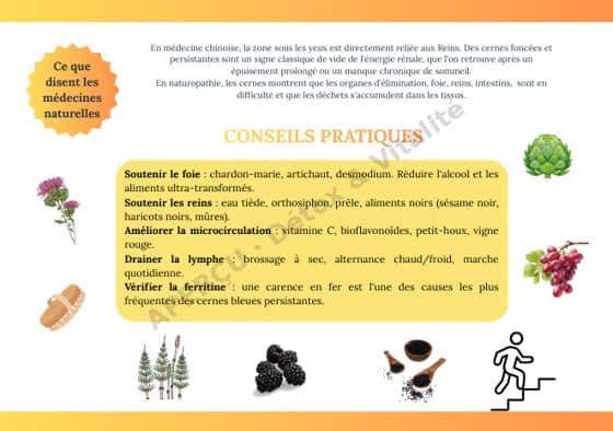 Page intérieure de l'e-book Les 20 clés de la vitalité