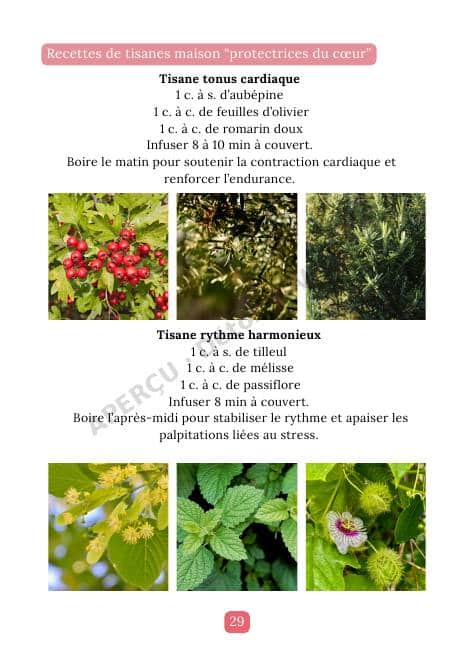 Page intérieure de l'e-book Cœur