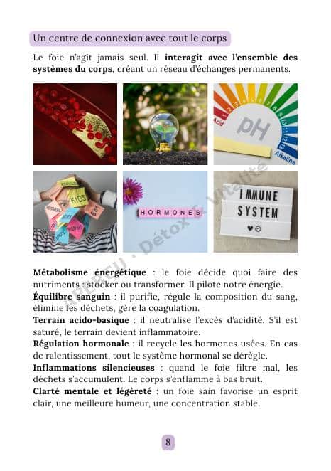 Page intérieure de l'e-book Foie