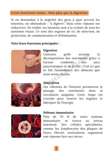 Page intérieure de l'e-book Intestins