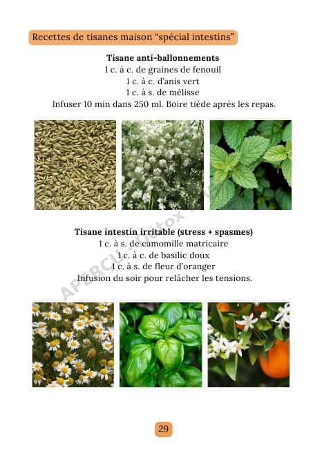 Page intérieure de l'e-book Intestins