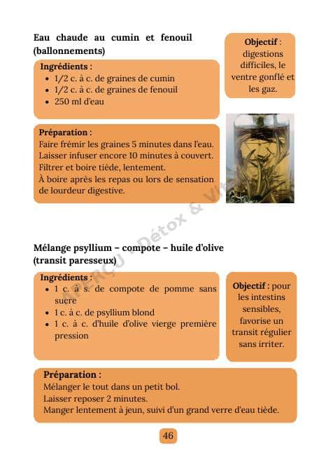 Page intérieure de l'e-book Intestins