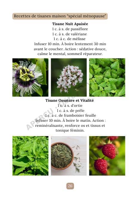 Page intérieure de l'e-book Ménopause