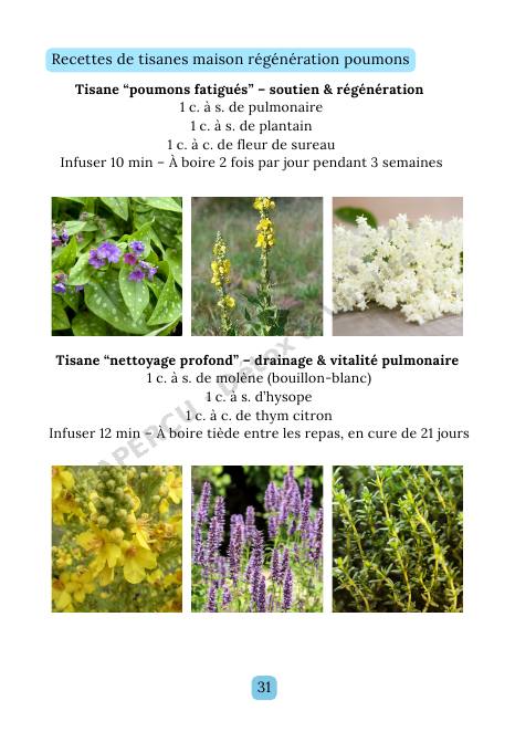 Page intérieure de l'e-book Poumons