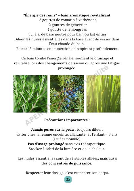 Page intérieure de l'e-book Reins
