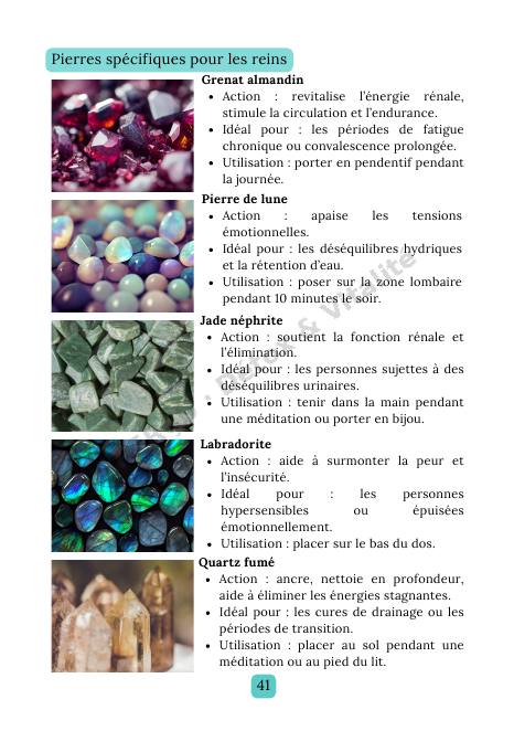 Page intérieure de l'e-book Reins