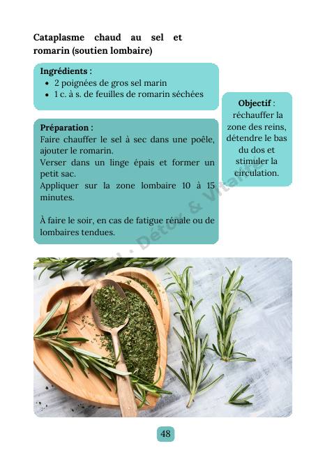 Page intérieure de l'e-book Reins