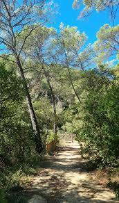 Sentier de balade en forêt