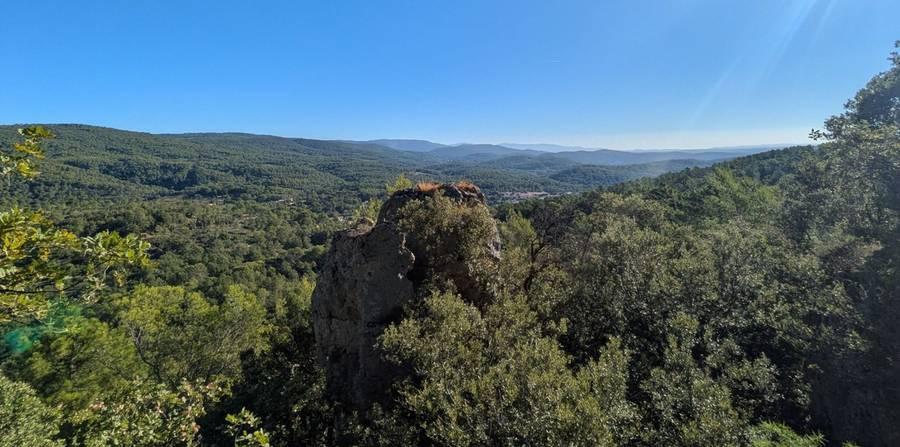 Vue sur la forêt varoise